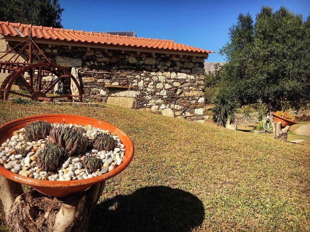 Quinta Do Fortunato Viana do Castelo Eksteriør bilde